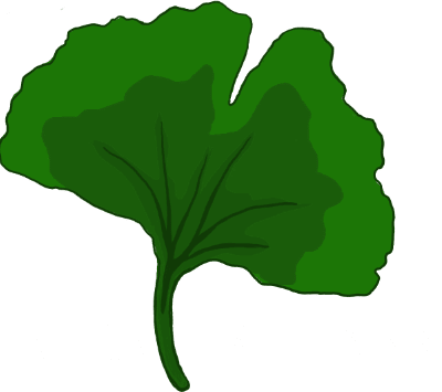 Anja Baumann